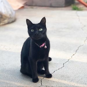 Meet your Posher, Miranda